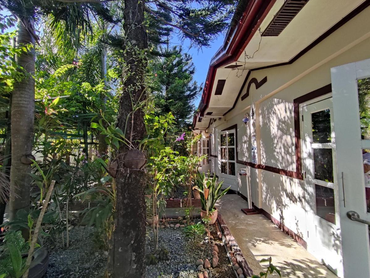 Olana Bed And Breakfast Labrador Exteriér fotografie